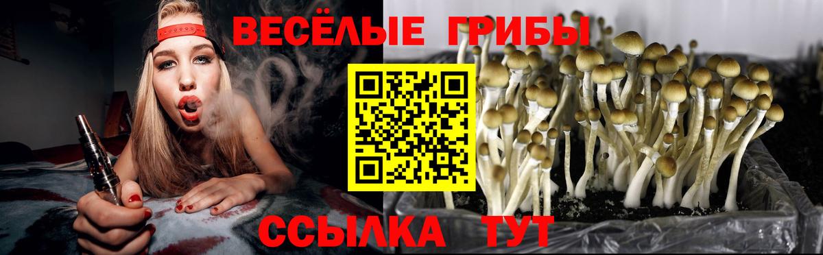 как найти наркотики  Псилоцибиновые грибы GOLDEN TEACHER  Вход с VPN  Псилоцибиновые грибы Psilocybine cubensis  Грязи 